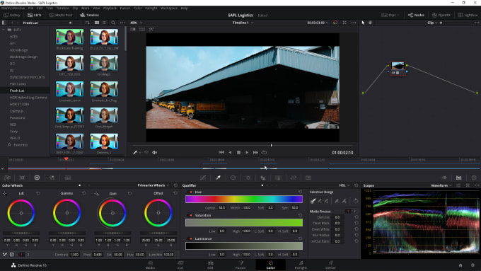 Gig Preview - Teach blackmagic davinci resolve software for color grading