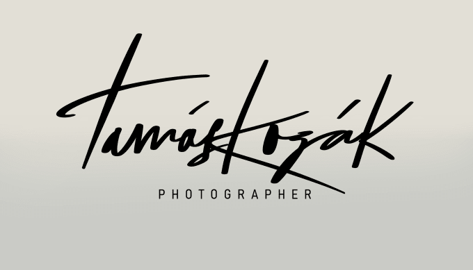 Gig Preview - Do a male handwritten signature logo