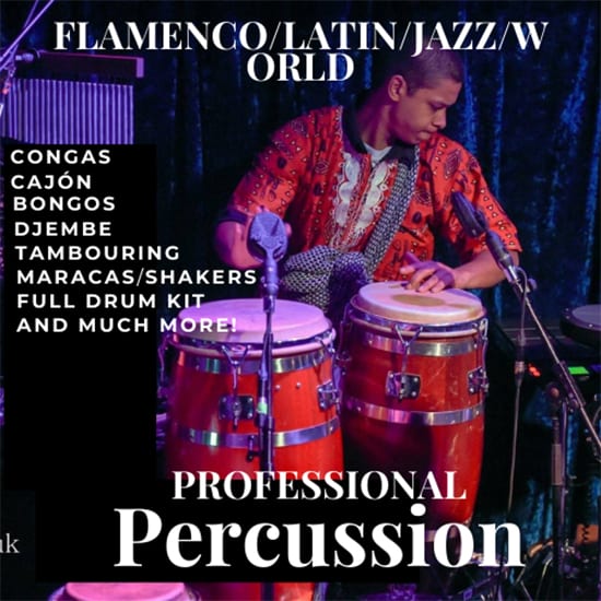 Gig Preview - Play professional percussion latin flamenco bongos congas