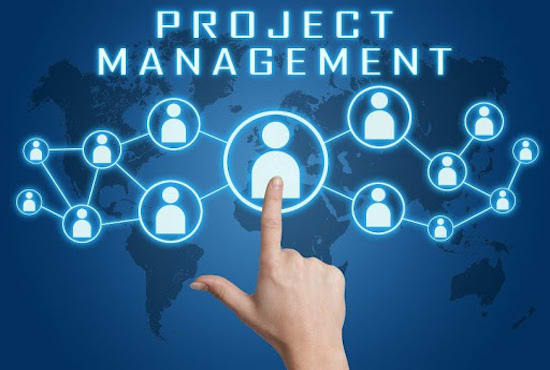 Gig Preview - Do project management to deliver your project successfully