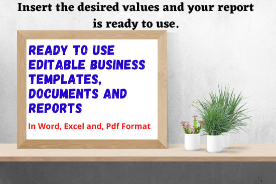 Gig Preview - Design customized business reports in excel word pdf