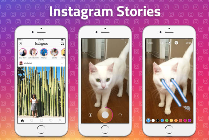 Gig Preview - Create awesome instagram stories and post a video