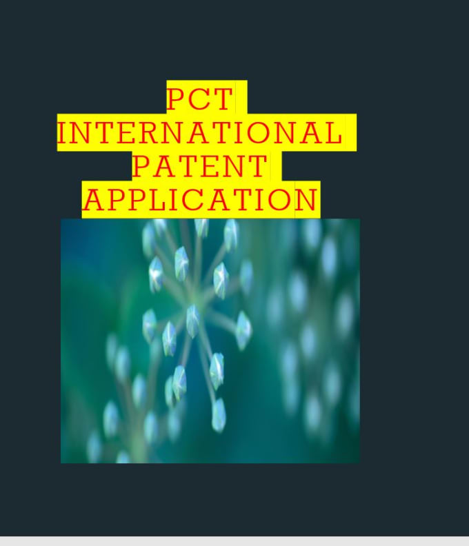 Gig Preview - Assist to file pct international patent application