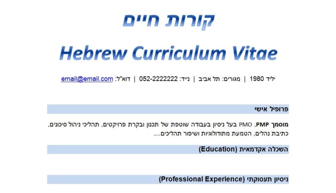 Gig Preview - Translate your CV from english to hebrew