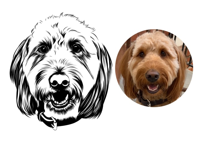 Gig Preview - Draw amazing line art for your pet