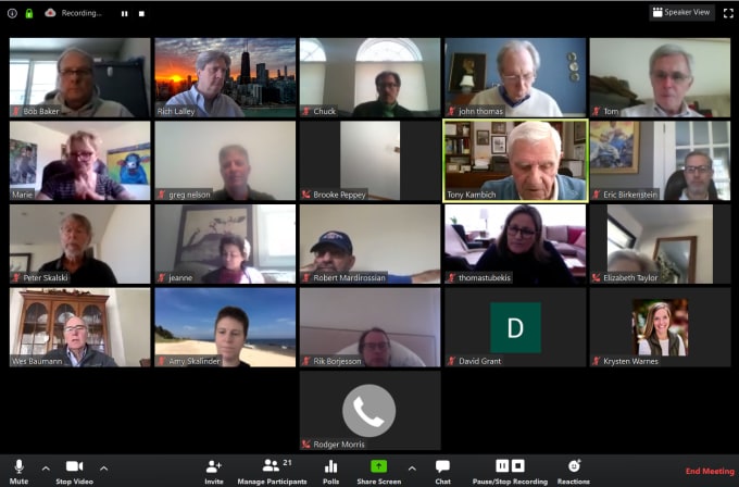 Gig Preview - Attend zoom or any virtual meetings and classes for you