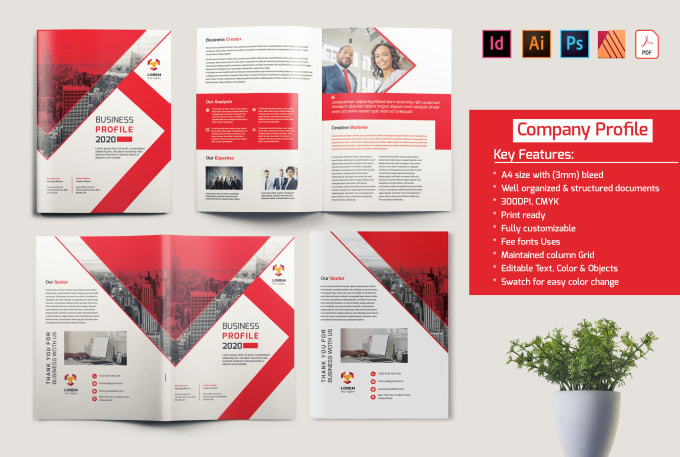 Gig Preview - Design indesign medical corporate business profile proposal brochure in 12 hours