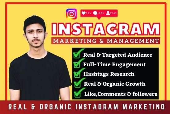 Gig Preview - Do instagram marketing for organic engagement growth