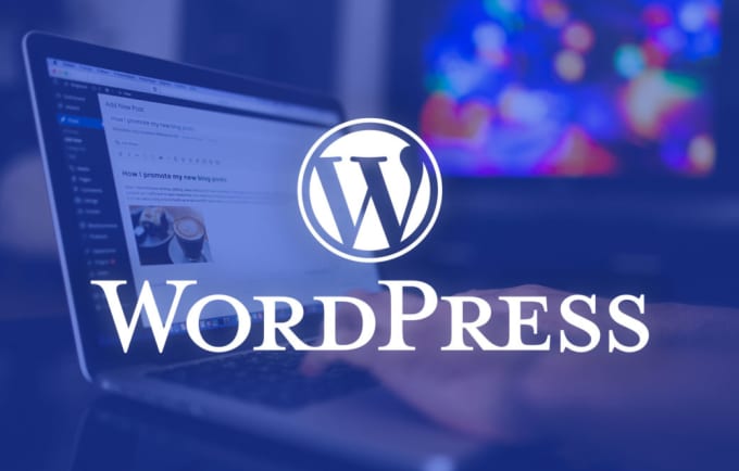 Gig Preview - Do wordpress website and plugins