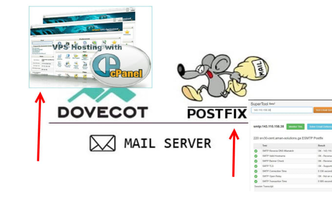 Gig Preview - Manage cpanel whm exim mta postfix dovecot roundcube issues