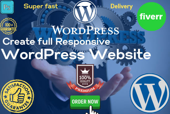 Gig Preview - Design, fix errors, build responsive your wordpress website