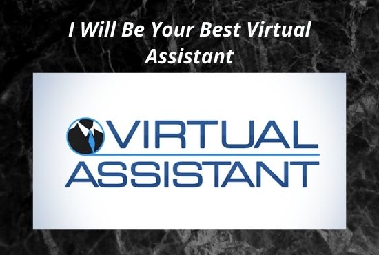 Gig Preview - Be your virtual assistant for data entry and web research