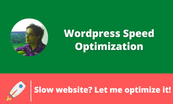 Gig Preview - Optimize your wordpress website for speed and SEO