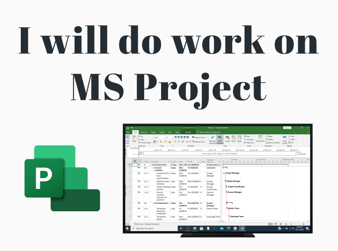 Gig Preview - Create gantt chart from schedule plan using ms project