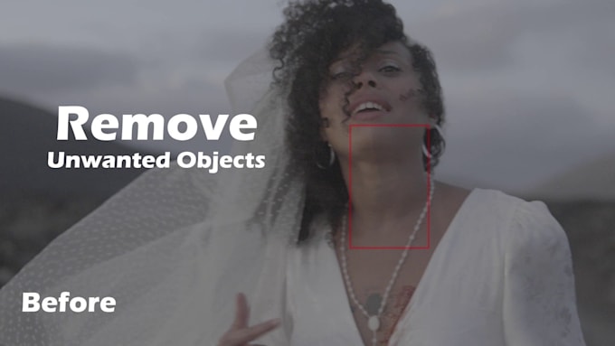 Gig Preview - Remove unwanted object, text from video vfx