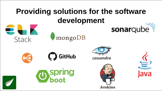 Gig Preview - Give solutions for the software development