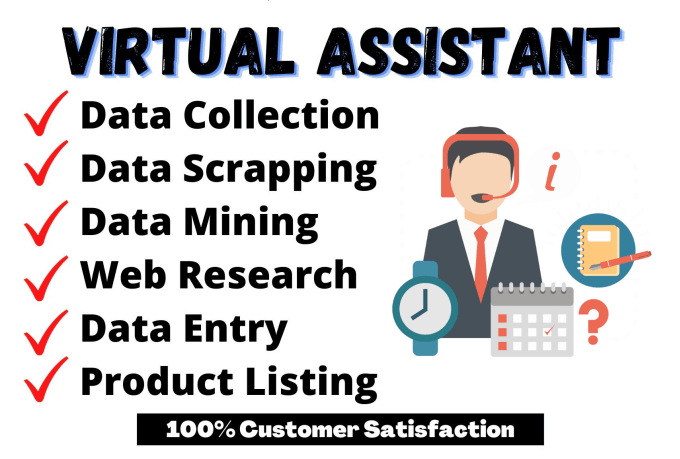 Gig Preview - Be your virtual assistant for data entry, web research and more