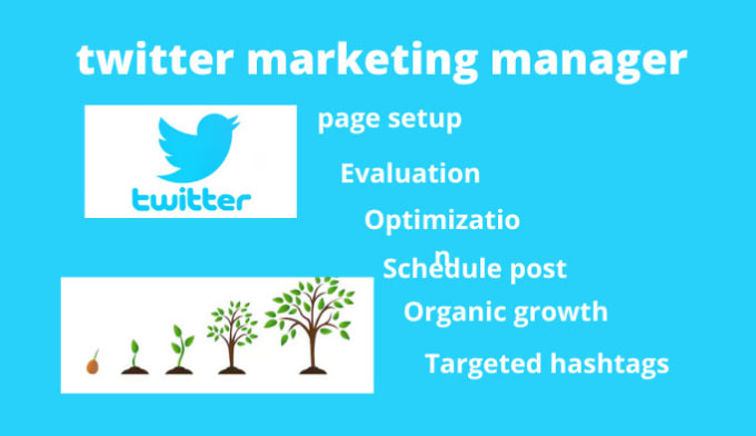 Gig Preview - Manage your twitter to grow organically