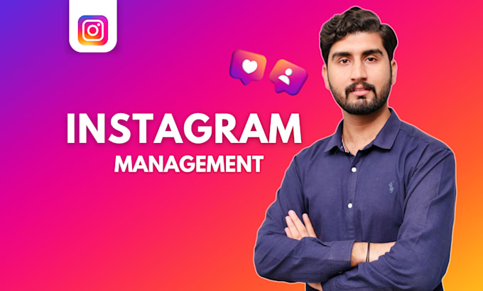 Gig Preview - Manage and grow your instagram account organically