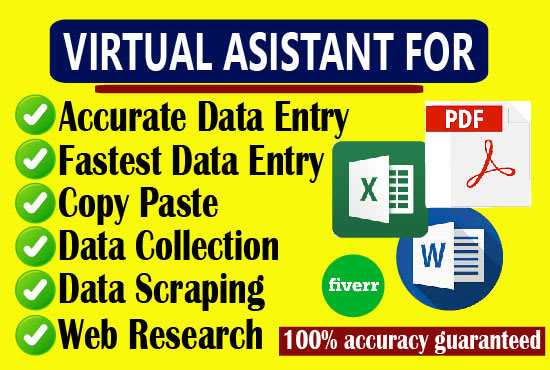 Gig Preview - Do accurate data entry and excel data entry, data entry work, copy paste job