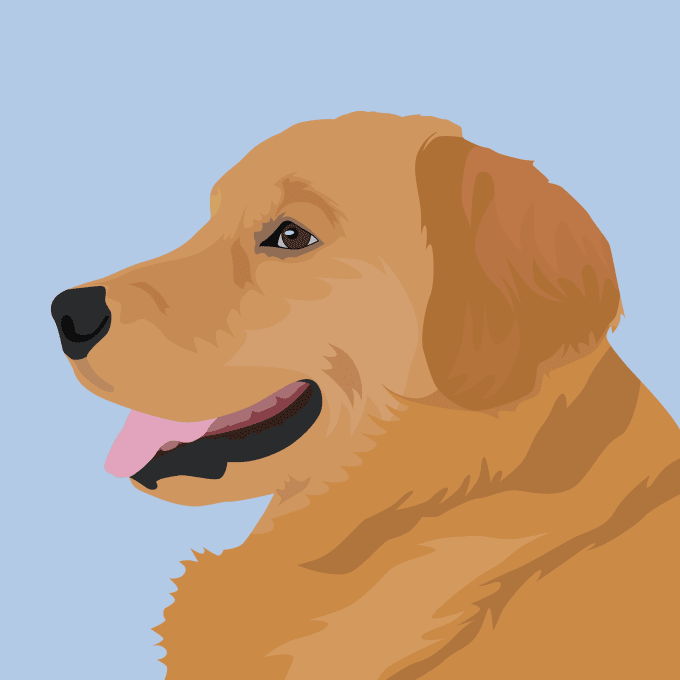 Gig Preview - Create minimalist pet illustration