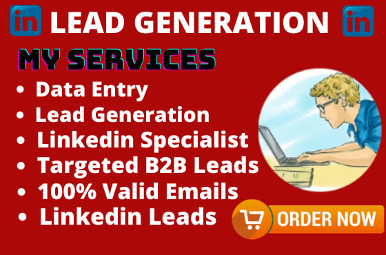 Gig Preview - Do data entry web research lead generation and copy paste