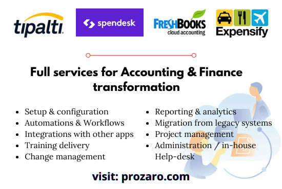 Gig Preview - Provide accounting and finance application support