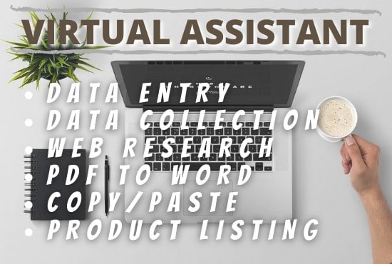 Gig Preview - Be your virtual assistant and will do fast and perfect data entry, web research