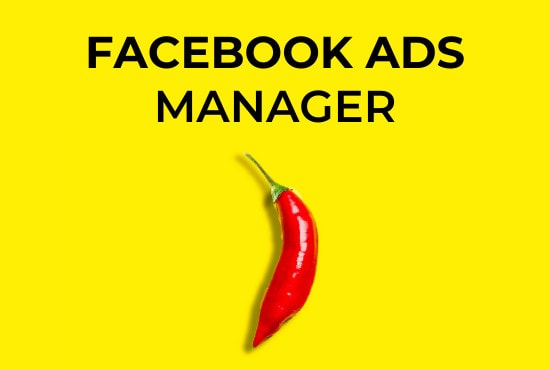 Gig Preview - Be your facebook ads manager