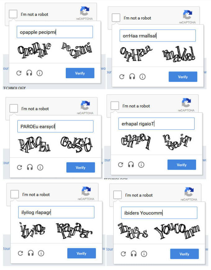 Gig Preview - Do image captcha text captcha data entery