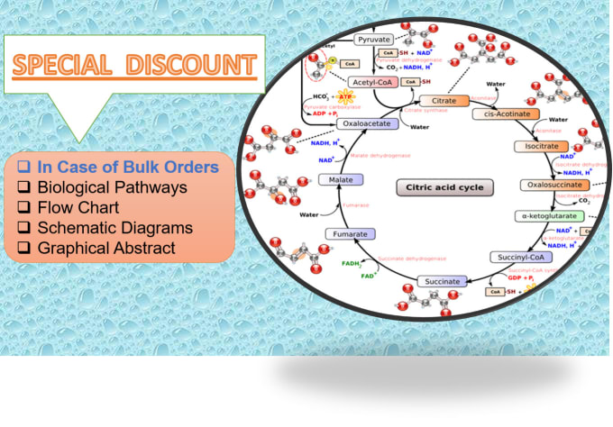 Gig Preview - Design scientific illustrations to make your content more effective