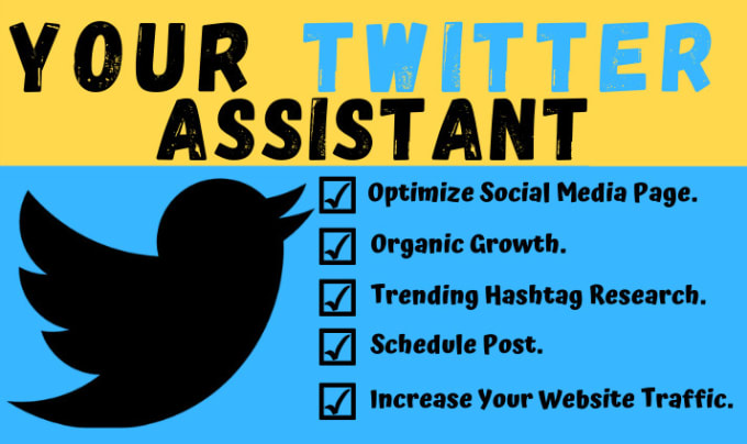 Gig Preview - Be your twitter assistant and organically grow your followers