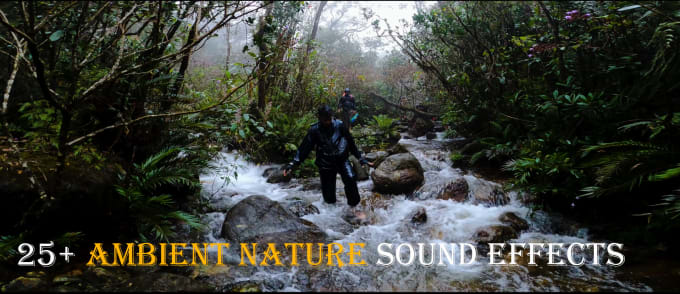 Gig Preview - Provide ambient nature sound effects for commercial use