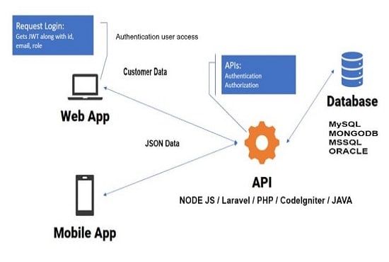 Gig Preview - Develop, integrate and fix bug of your API