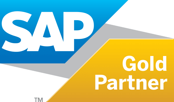 Gig Preview - Be your sap consultant and trainer