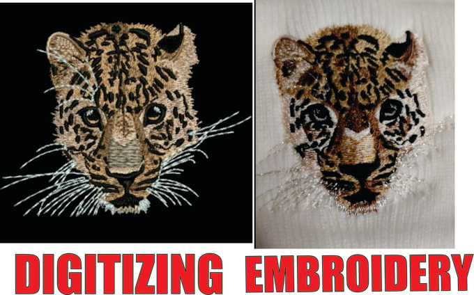 Gig Preview - Do professional embroidery digitizing in hours