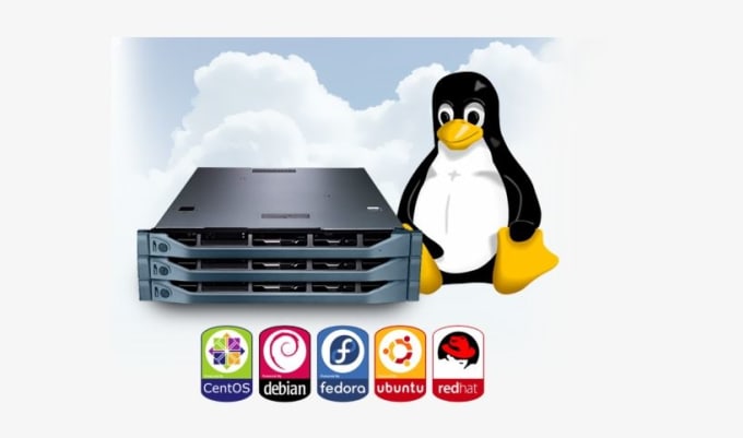 Bestseller - configure any linux server, service or fix any bug