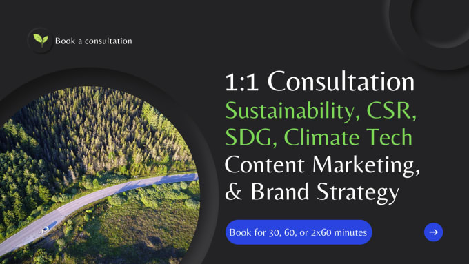 Gig Preview - Consult on sustainability, csr, content marketing, strategy