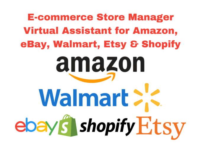 Gig Preview - Be your amazon ebay walmart VA PPC specialist SEO product listing copywriter