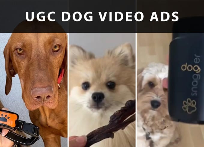 Bestseller - create ugc dog videos for your social media ads