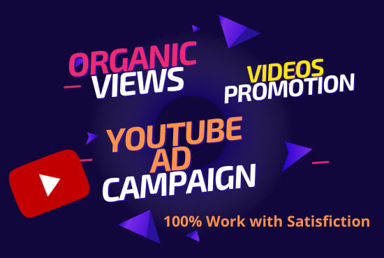 Gig Preview - Promote your youtube channel with google ads and videos SEO