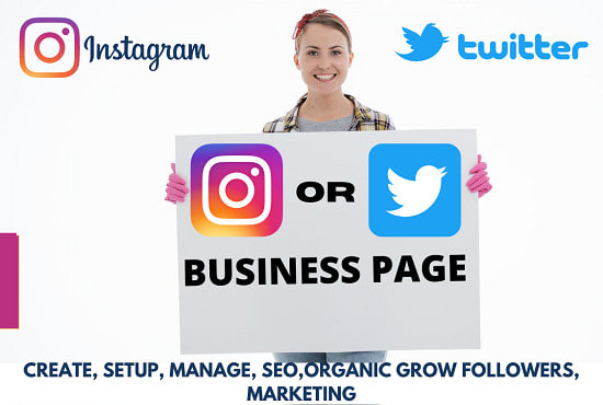 Gig Preview - Setup twitter or instagram business page and grow followers