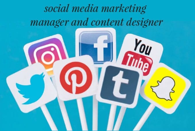 Bestseller - be your social media marketing manager and content designer