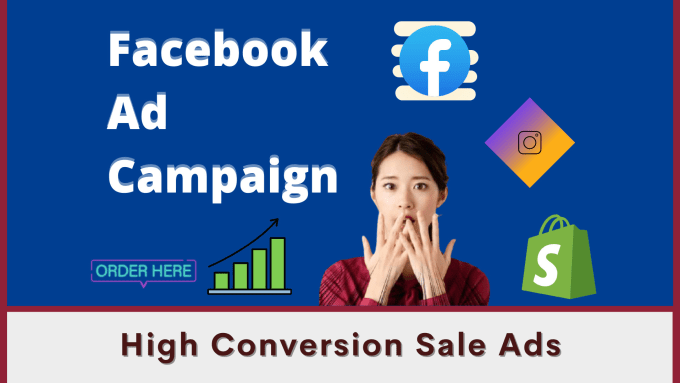 Gig Preview - Build niche base organized facebook ads with pre planed map