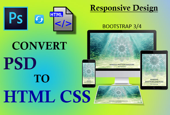 Gig Preview - Convert PSD to responsive HTML, CSS, and bootstrap