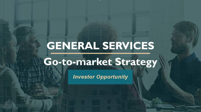 Gig Preview - Create a go to market strategy for your company or product