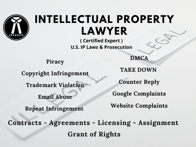 Gig Preview - Provide legal assistance in intellectual property rights