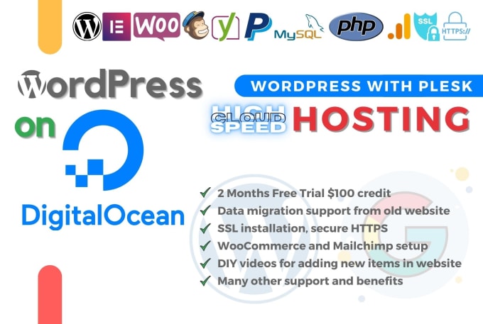 Gig Preview - Install or transfer wordpress