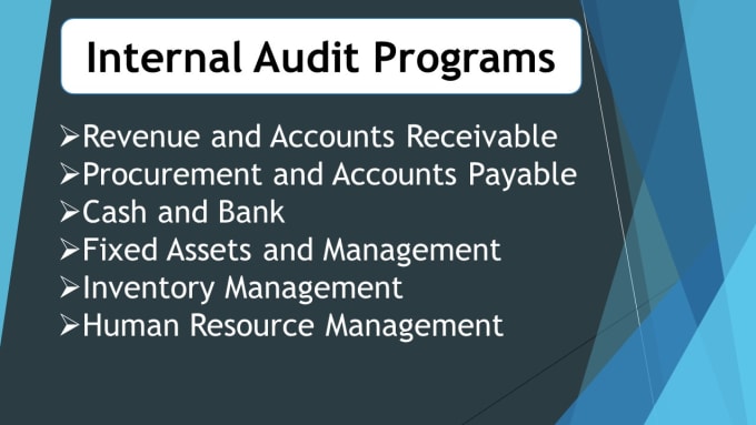 Bestseller - create internal audit programs and plans for your company