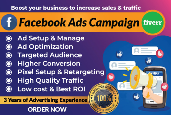 Gig Preview - Setup facebook ads campaign in ads manager